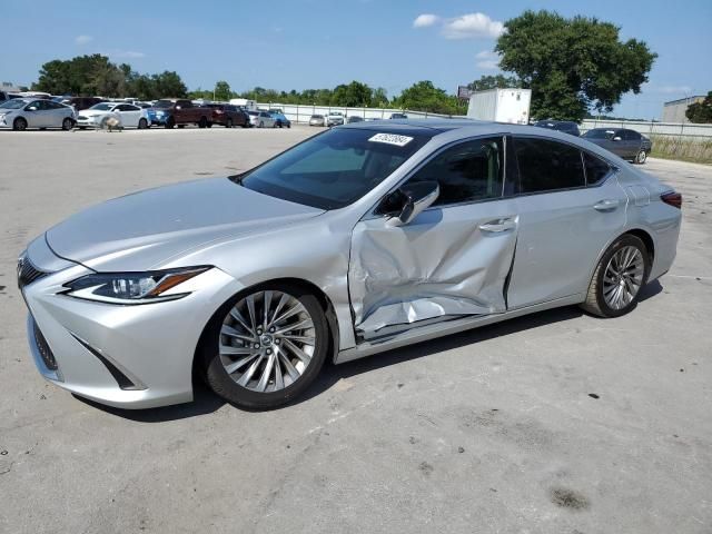 2019 Lexus ES 350