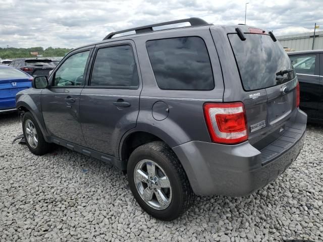 2011 Ford Escape XLT