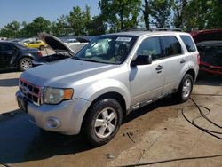 Ford salvage cars for sale: 2012 Ford Escape XLT