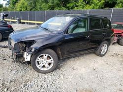 Salvage cars for sale at Waldorf, MD auction: 2012 Toyota Rav4