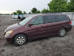 Honda salvage cars for sale: 2010 Honda Odyssey EX