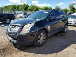 Salvage cars for sale at Chalfont, PA auction: 2013 Cadillac SRX