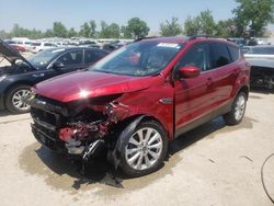 Salvage cars for sale at Bridgeton, MO auction: 2019 Ford Escape SEL