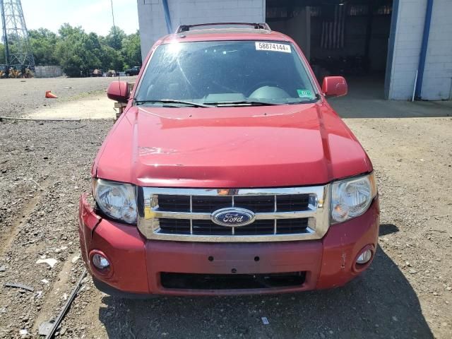 2011 Ford Escape Limited