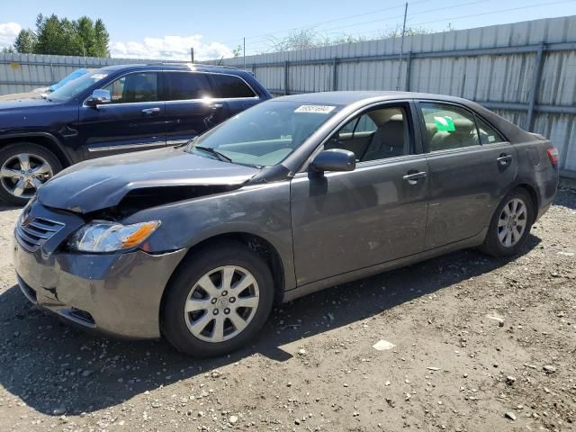 2009 Toyota Camry Hybrid