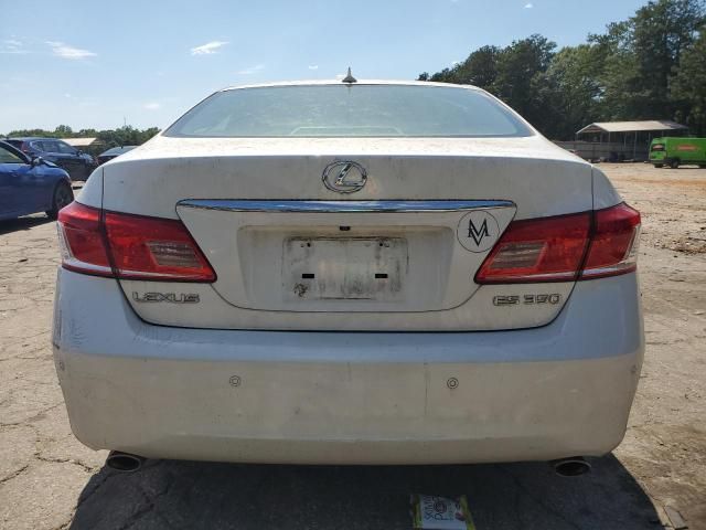 2010 Lexus ES 350