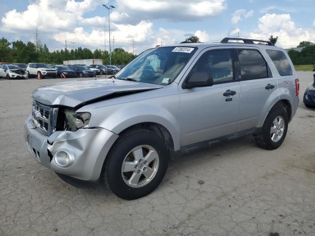 2011 Ford Escape XLT