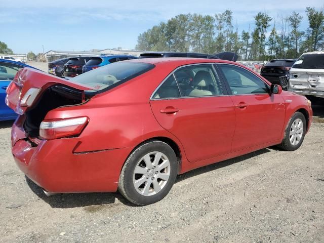 2007 Toyota Camry Hybrid