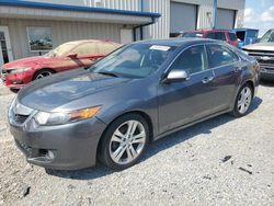 Salvage cars for sale at Earlington, KY auction: 2010 Acura TSX