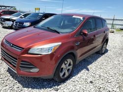 Salvage cars for sale at Cahokia Heights, IL auction: 2014 Ford Escape SE