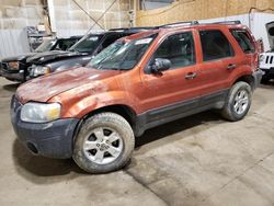 Ford Vehiculos salvage en venta: 2006 Ford Escape XLT