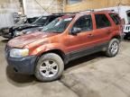 2006 Ford Escape XLT