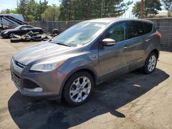 Salvage Cars with No Bids Yet For Sale at auction: 2013 Ford Escape SEL