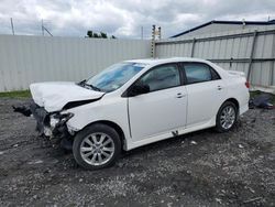 Salvage cars for sale at Albany, NY auction: 2010 Toyota Corolla Base