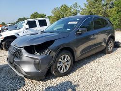 Salvage cars for sale at Houston, TX auction: 2024 Ford Escape Active