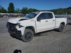 Salvage cars for sale at Grantville, PA auction: 2020 Chevrolet Silverado K1500 Trail Boss Custom