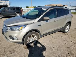 Salvage cars for sale at Bismarck, ND auction: 2018 Ford Escape SE