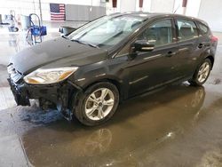 Salvage cars for sale at Avon, MN auction: 2013 Ford Focus SE