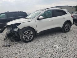 Salvage cars for sale at Wayland, MI auction: 2020 Ford Escape SEL