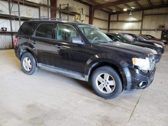 2011 Ford Escape XLT