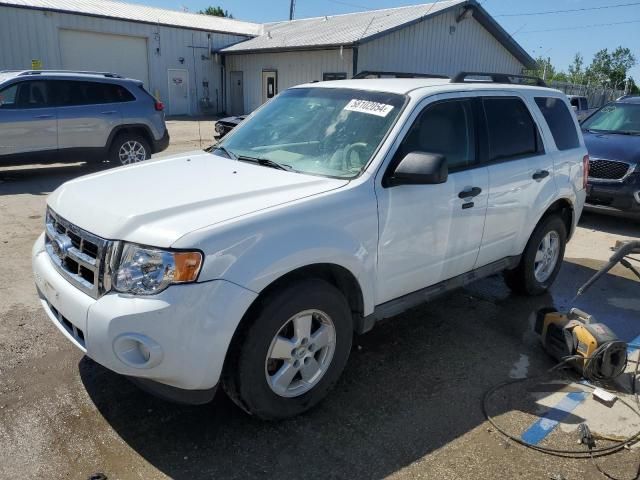 2010 Ford Escape XLT