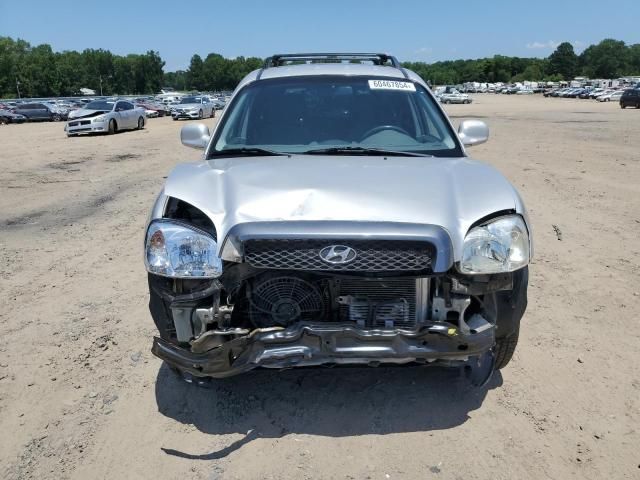 2002 Hyundai Santa FE GLS