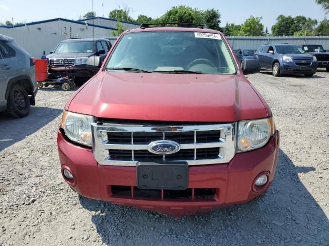 2009 Ford Escape XLT