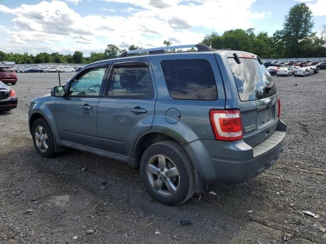 2010 Ford Escape Limited