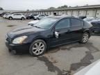 2008 Nissan Maxima SE