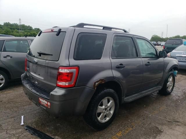 2010 Ford Escape XLT