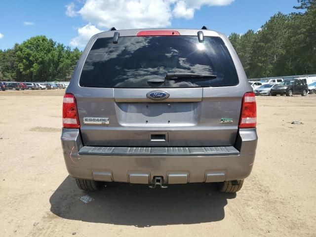 2011 Ford Escape XLT