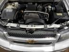 2009 Chevrolet Trailblazer LT