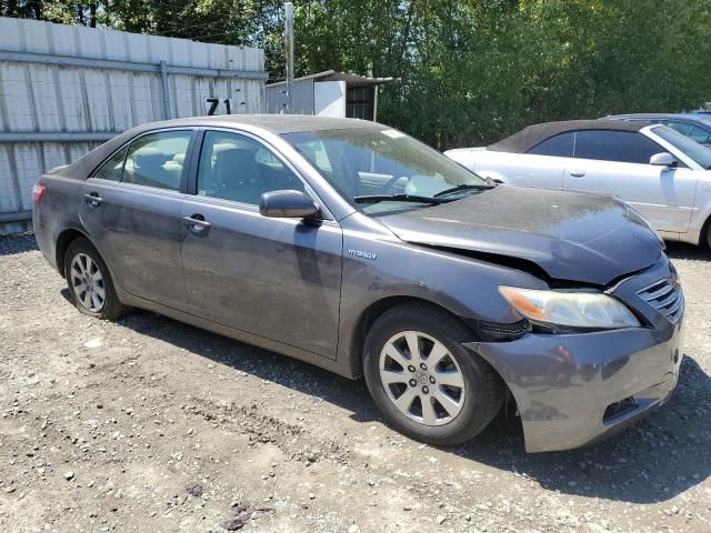 2009 Toyota Camry Hybrid