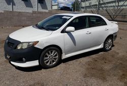 Salvage cars for sale from Copart Albuquerque, NM: 2010 Toyota Corolla Base