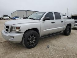 Dodge Dakota slt Vehiculos salvage en venta: 2011 Dodge Dakota SLT