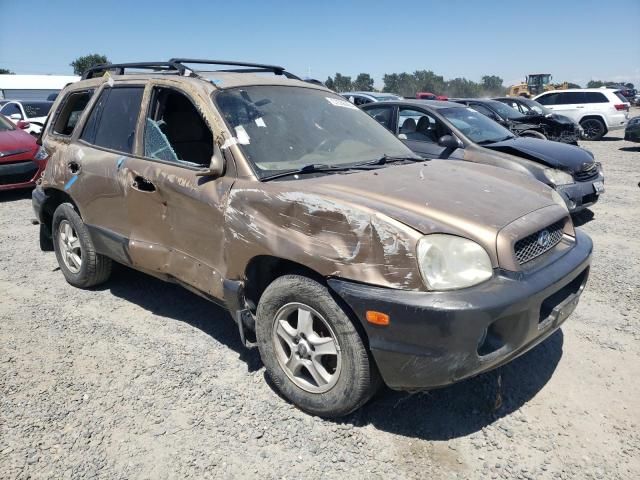 2002 Hyundai Santa FE GLS