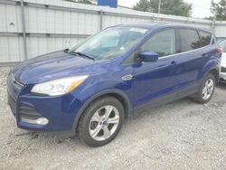 Salvage cars for sale at Walton, KY auction: 2014 Ford Escape SE