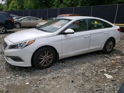 Hyundai Sonata salvage cars for sale: 2015 Hyundai Sonata SE