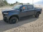 2021 Chevrolet Silverado K1500 LT Trail Boss