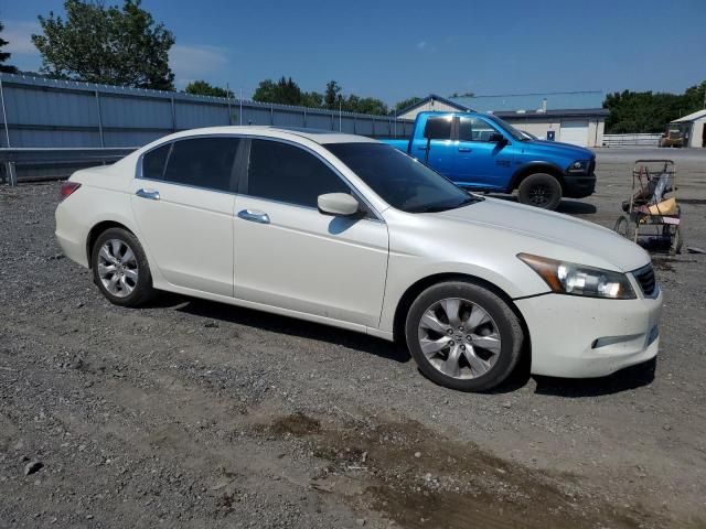 2010 Honda Accord EXL