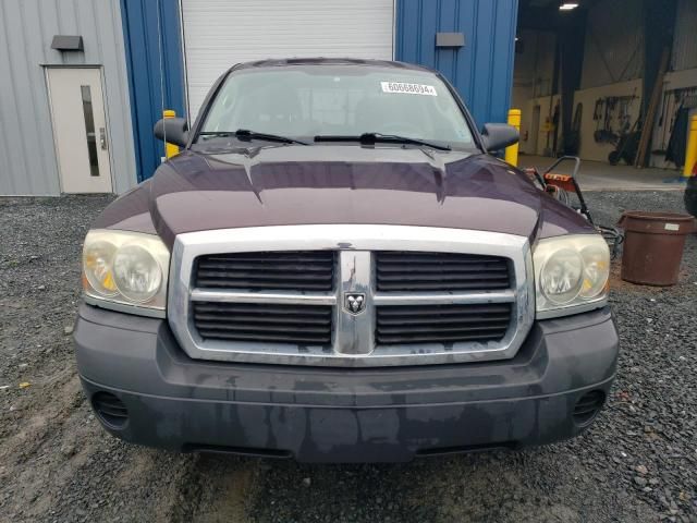 2005 Dodge Dakota Quattro