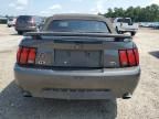 2001 Ford Mustang GT