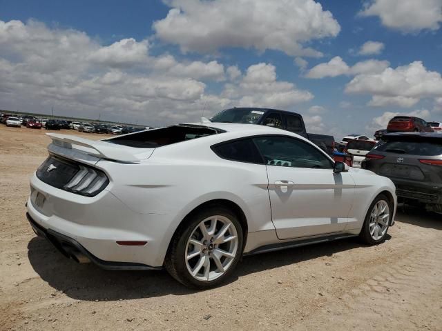 2023 Ford Mustang