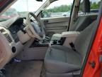 2009 Ford Escape XLS