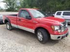 2009 Ford F150