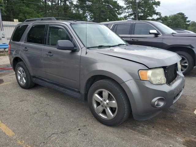 2009 Ford Escape XLT