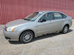 Ford Focus se/s Vehiculos salvage en venta: 2008 Ford Focus SE/S