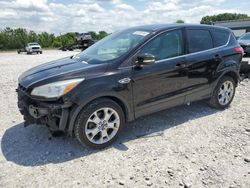 Ford salvage cars for sale: 2013 Ford Escape SEL