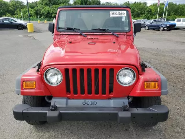 2002 Jeep Wrangler / TJ X