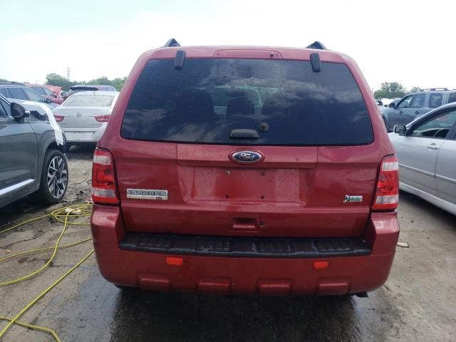 2012 Ford Escape XLT